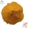 Corn Gluten Meal Hot Sale Protein Powder